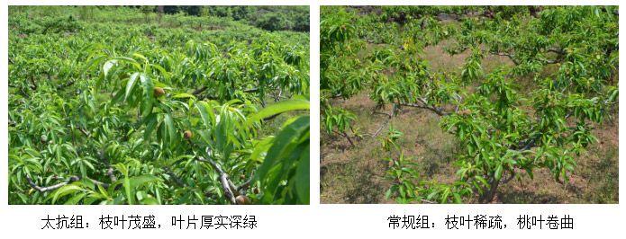 1513328902664801gFYx.jpg TIM截圖20171215170138.jpg