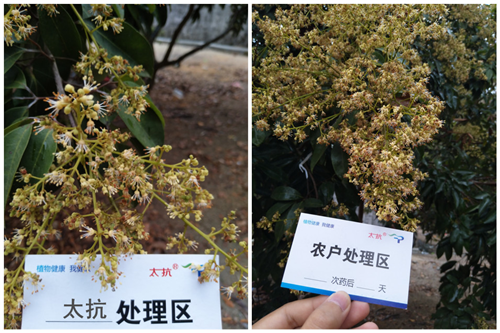 1527235366330437NvU6.png 圖片2_副本.png