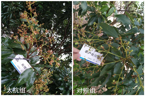 1527235409920377RrIX.png 圖片3_副本.png